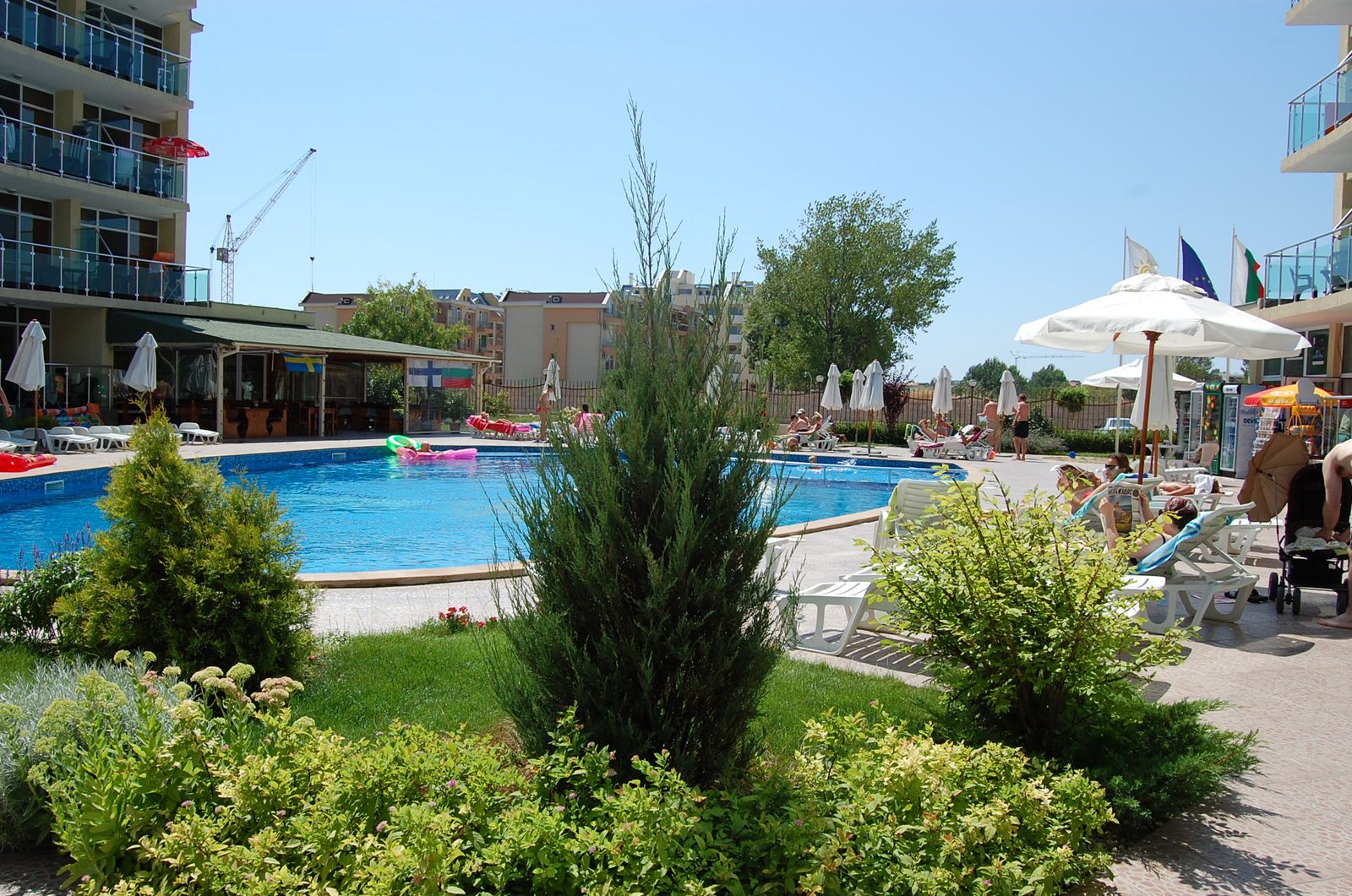 The garden by the pool